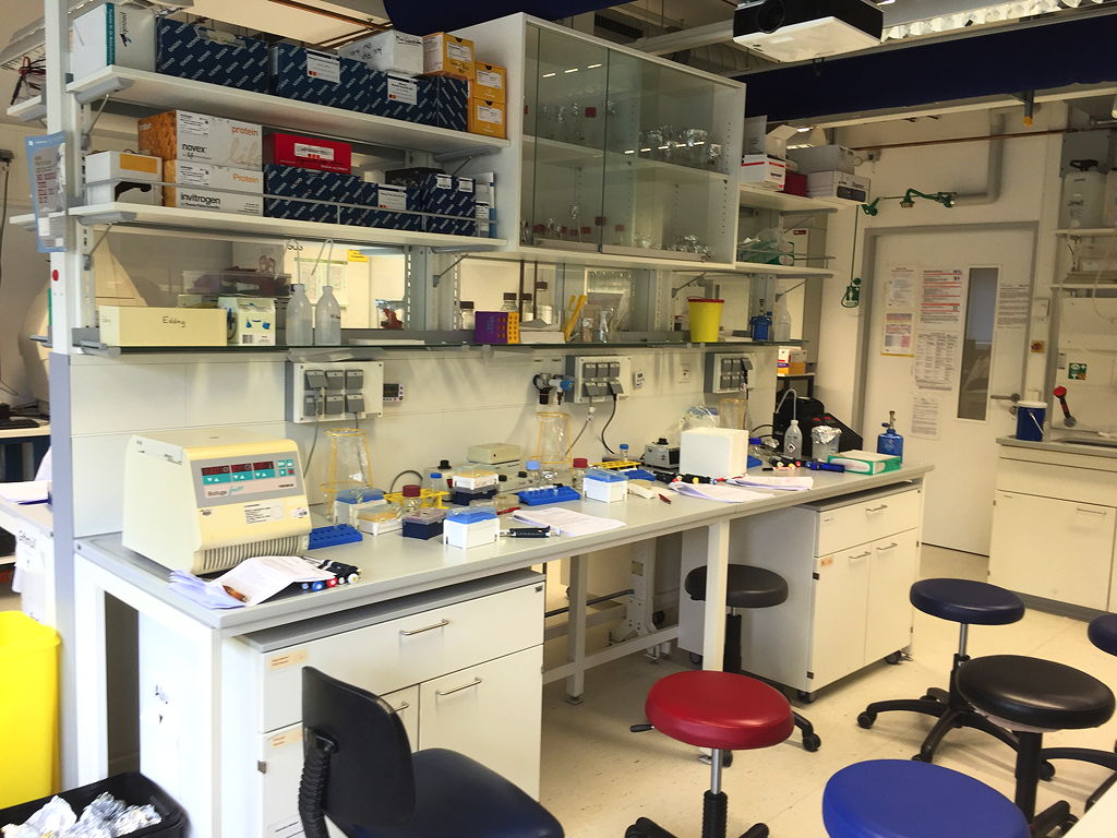 Unser Arbeitsplatz im Labor