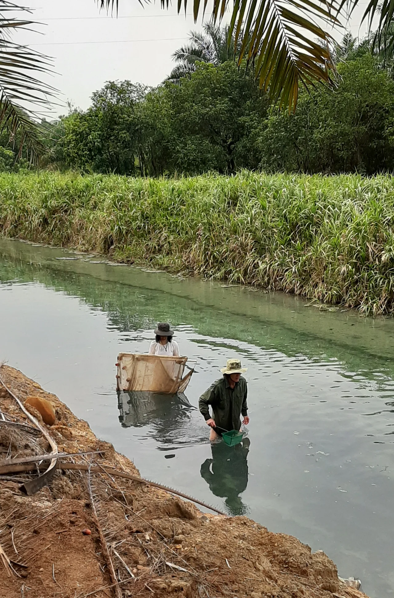 Fische fangen im Fluss (Prof. Krause & Charlotte)