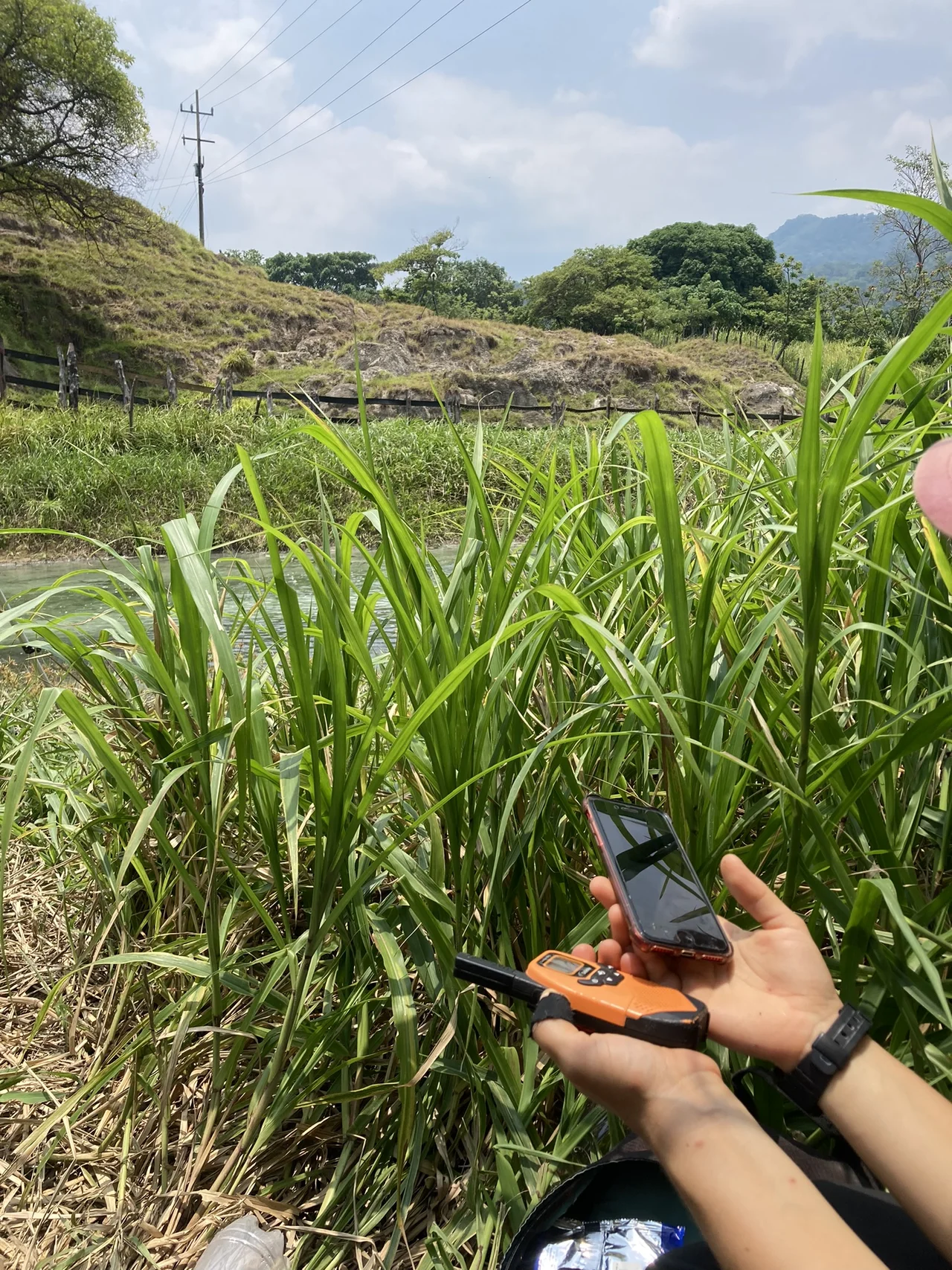 Versteck im Schilf. Arbeitsgeräte: 
(Handy-)Uhr und                              Walkie-Talkie zur Kommunikation zwischen den Teams  
