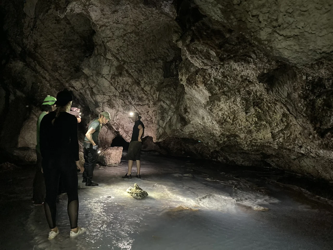 Cueva de las sardinas