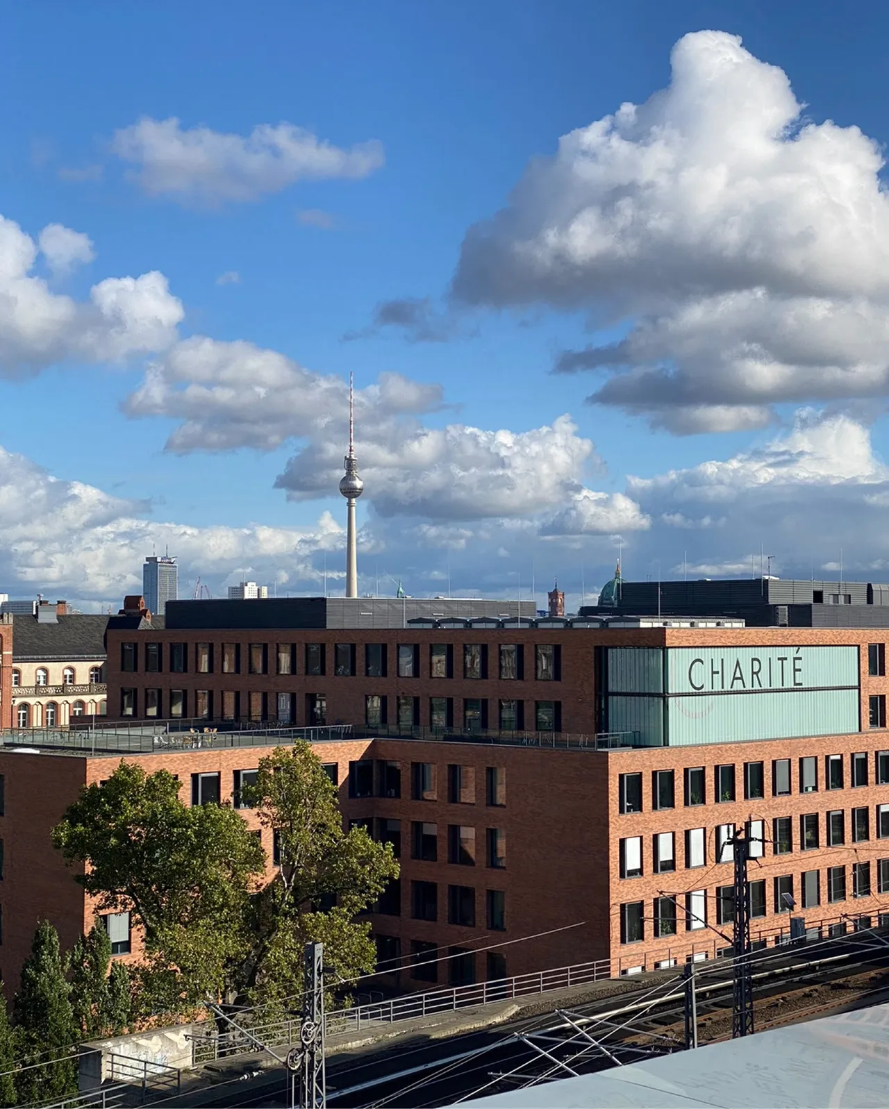 Charité Und Berliner Fernsehturm