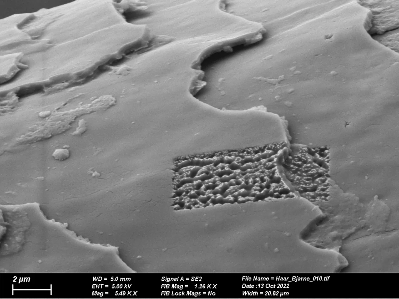 Mit dem Focused Ion Beam eingestrahltes Feld auf dem Haar.